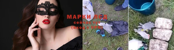 PSILOCYBIN Аркадак