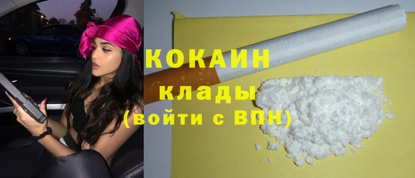 PSILOCYBIN Аркадак