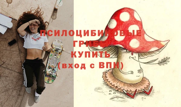 гидра Армянск
