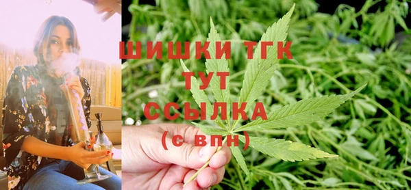 гидра Армянск