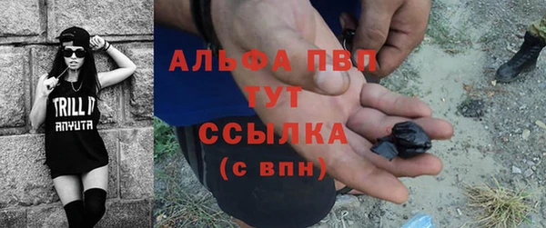 PSILOCYBIN Аркадак