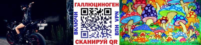 закладки  Белебей  Псилоцибиновые грибы GOLDEN TEACHER 